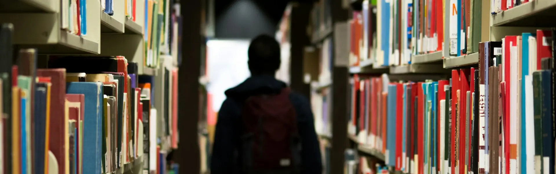 Üniversite Bölümleri