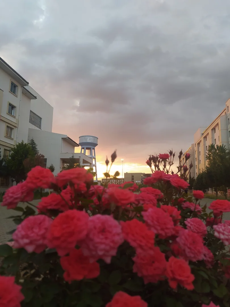 Adıyaman Kyk Kız Öğrenci Yurdu Fotoğraf3