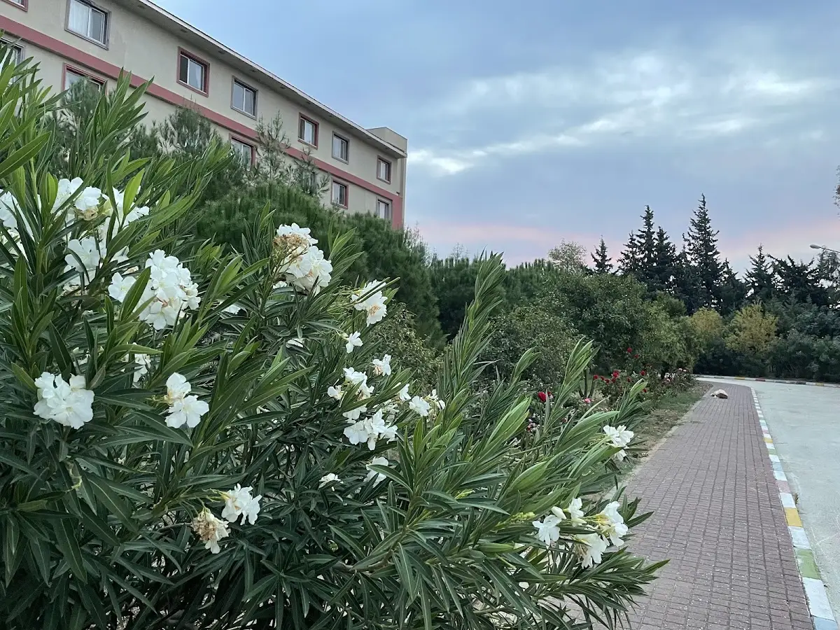 Antakya Kyk Kız Öğrenci Yurdu Fotoğraf3