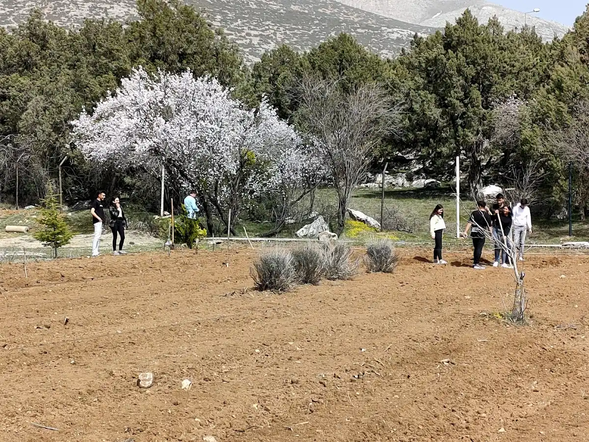 Atabey Kyk Kız Ve Erkek Öğrenci Yurdu Fotoğraf3