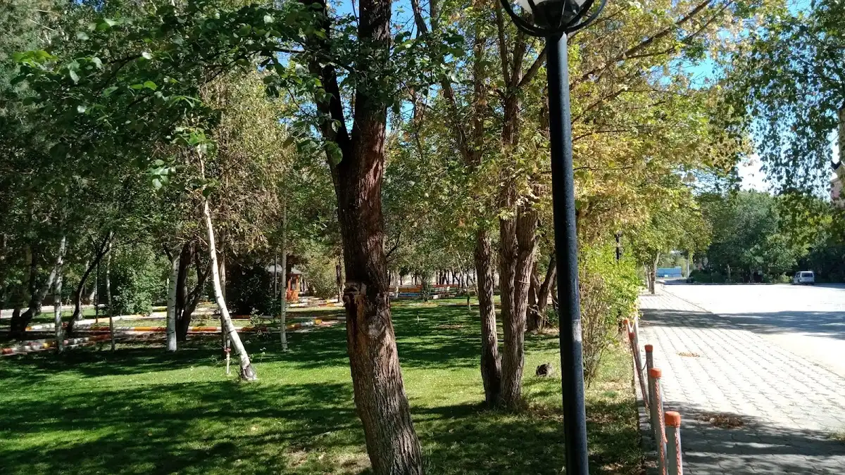 Erzurum Alvarlı Efe Kyk Kız Öğrenci Yurdu Fotoğraf2