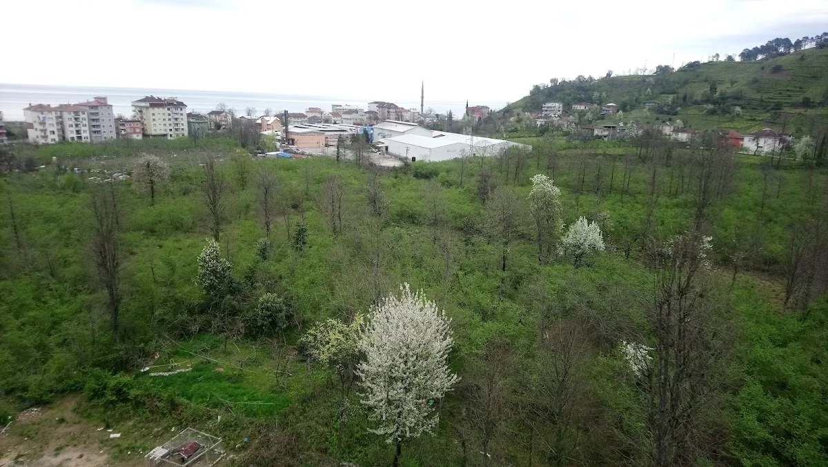 Fındıklı Kyk Kız Ve Erkek Öğrenci Yurdu Cover