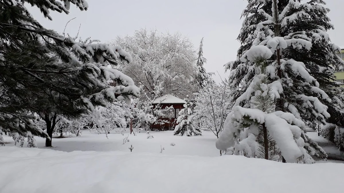 Gevher Nesibe Kyk Kız Öğrenci Yurdu Fotoğraf3