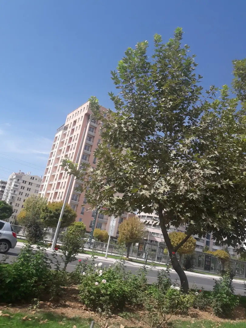 Hamdiye Yıldırım Kyk Kız Öğrenci Yurdu Fotoğraf3