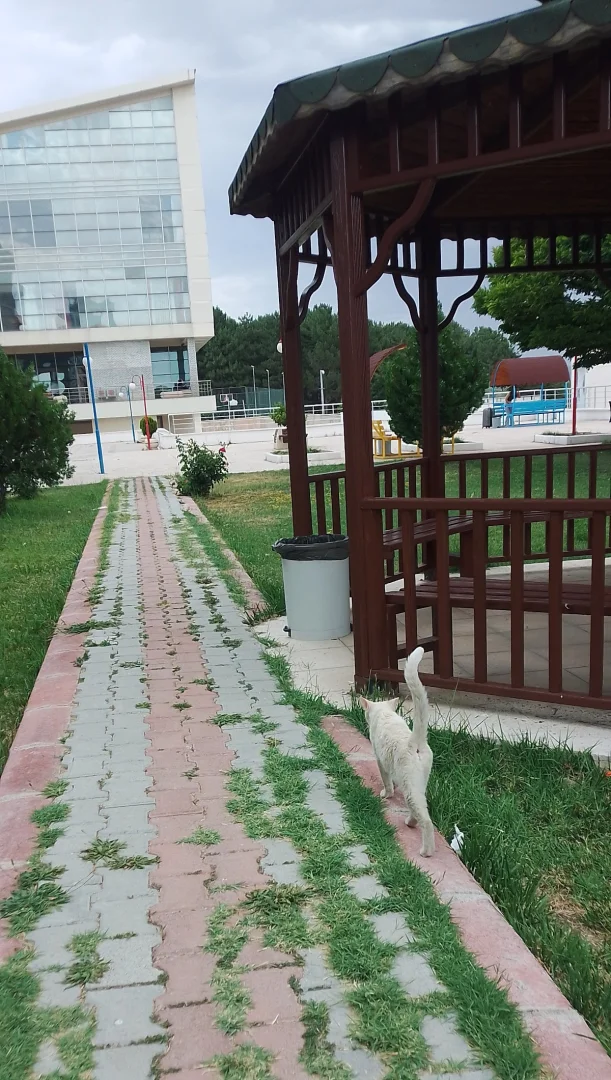 Harput Kyk Kız Öğrenci Yurdu Cover