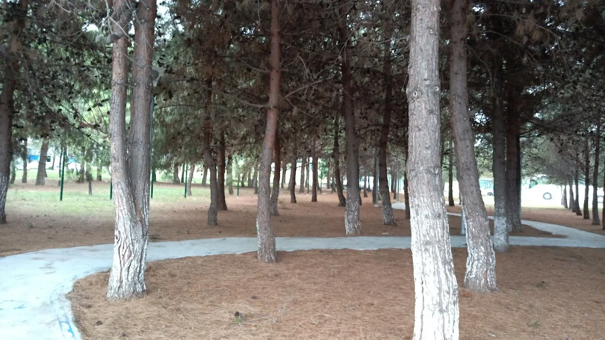 İlkadım Kyk Kız Öğrenci Yurdu Fotoğraf3