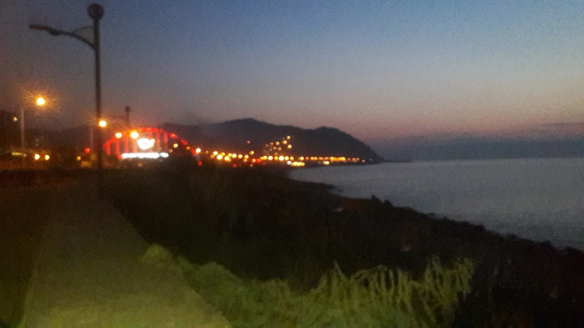 Nedime Lütfiye Günal Kyk Kız Ve Erkek Yurdu Fotoğraf2