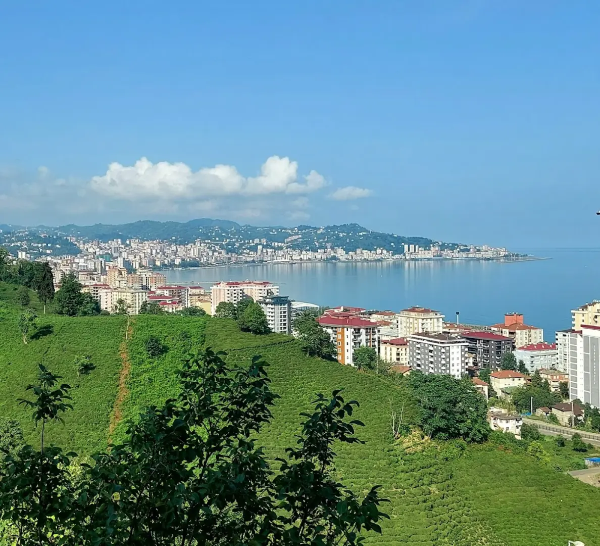 Rize Yeşilçay Kyk Erkek Öğrenci Yurdu