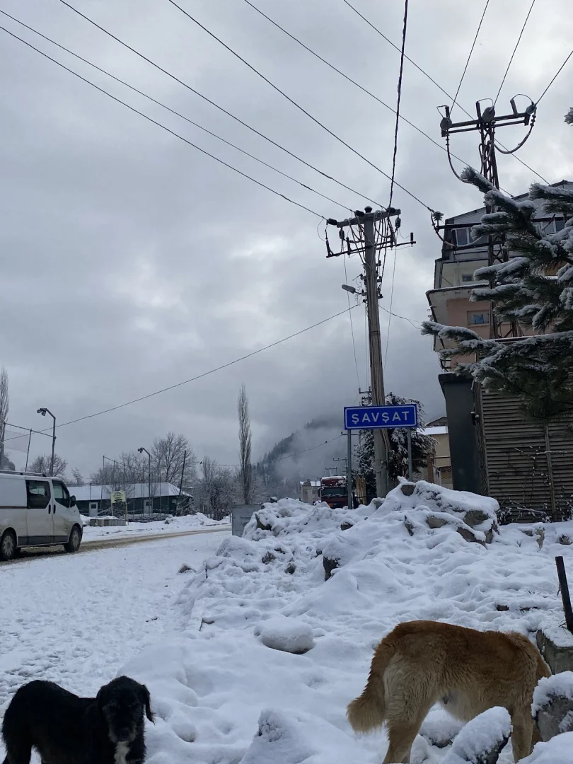 Şavşat Kyk Kız Öğrenci Yurdu Fotoğraf2