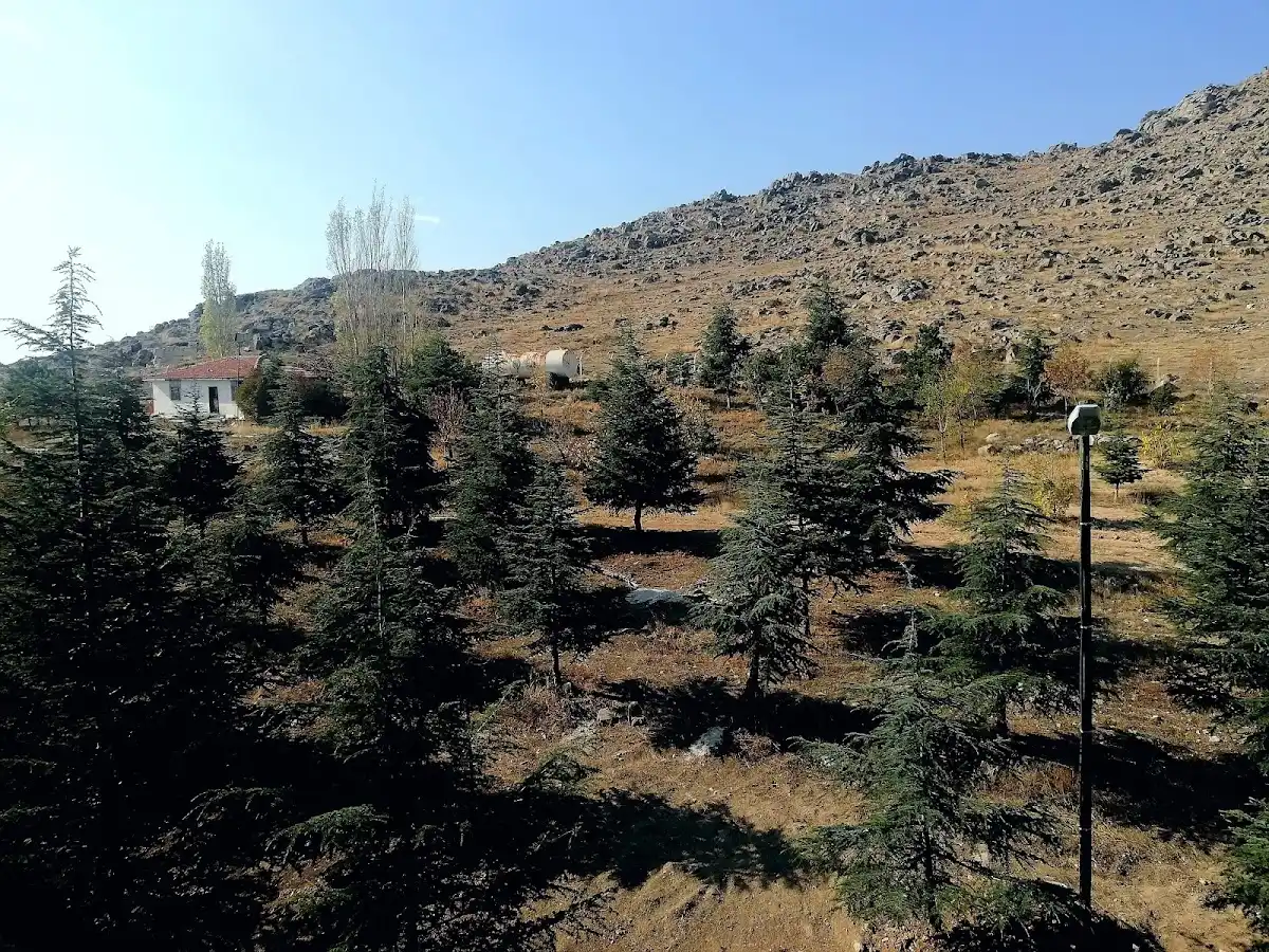 Sivrihisar Kyk Erkek Öğrenci Yurdu Fotoğraf3