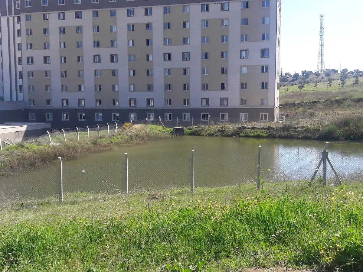 Tayfur Sökmen Kyk Kız Öğrenci Yurdu