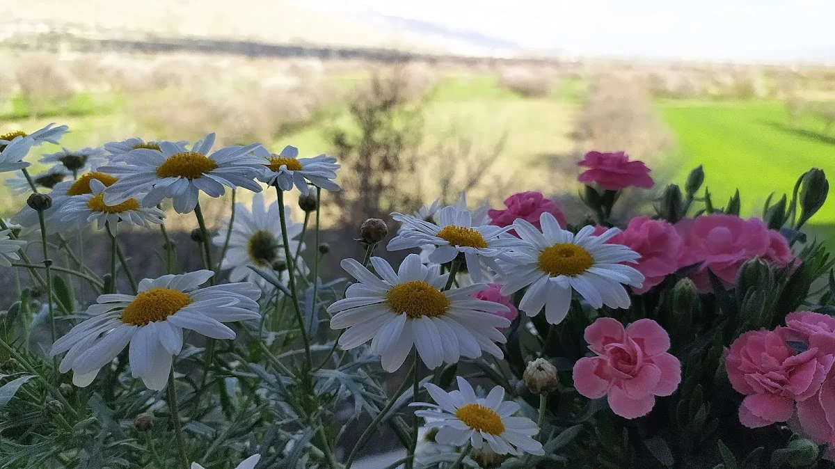 Terzibaba Kyk Kız Öğrenci Yurdu Fotoğraf3