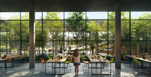 Ortak Çalışma Alanı ve Kafeterya