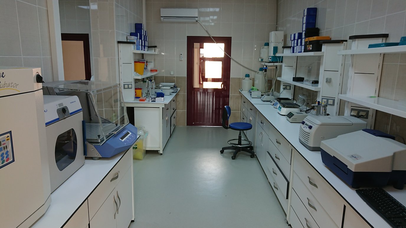 Laboratuvar