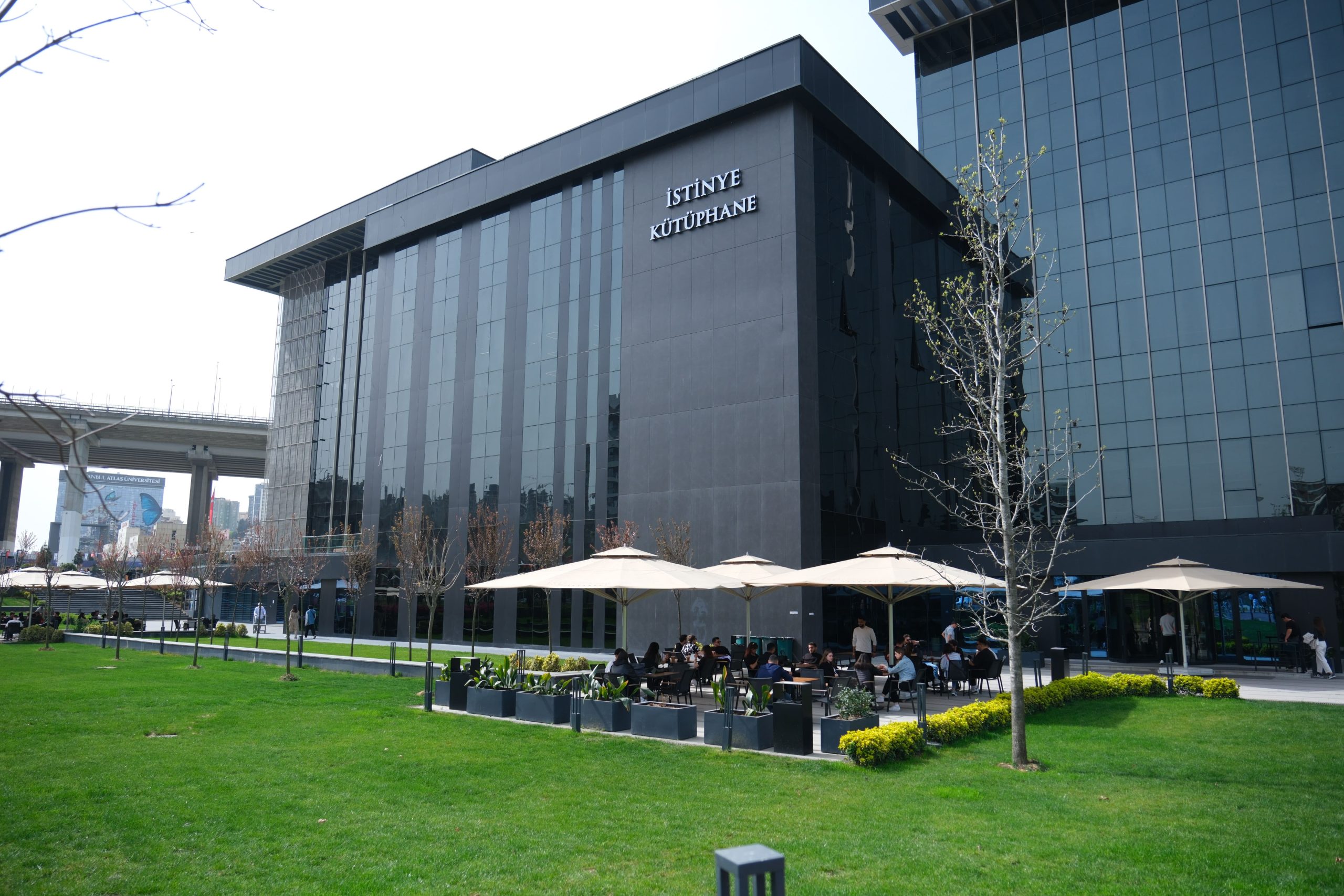 İstinye Üniversitesi Cover