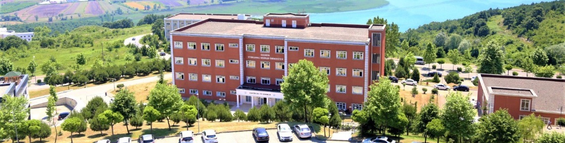 Sakarya Uygulamalı Bilimler Üniversitesi Cover