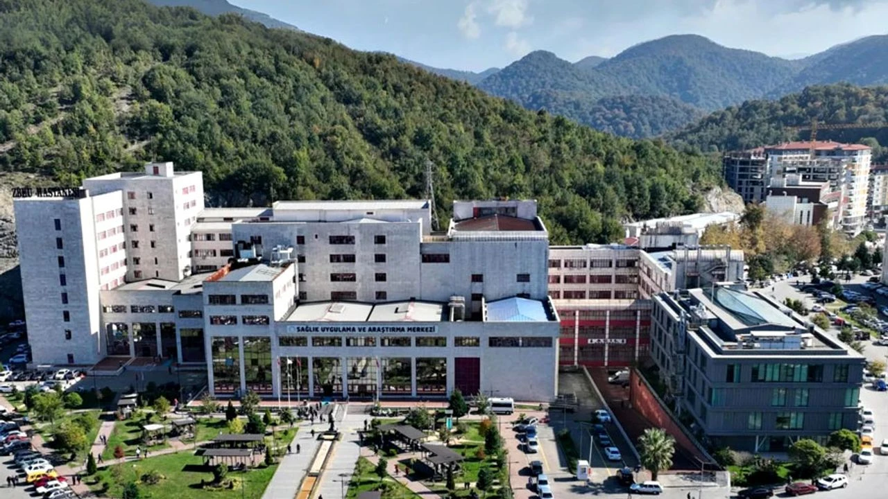 Zonguldak Bülent Ecevit Üniversitesi Cover