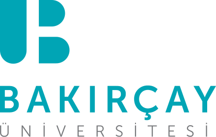 İzmir Bakırçay Üniversitesi